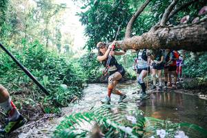 BIB: 
                            <button type="button" onclick="openModal(25449677)" class="btn btn-primary btn-sm float-right btn-popup" data-toggle="modal" data-target=".modal-high-quality">
                        <i class="fas fa-shopping-cart"></i> Add to Cart
                    </button>
                                            <button type="button" onclick="isThisMe(25449677, true)" class="btn btn-success btn-sm float-right btn-popup btn-isme hidden" data-toggle="tooltip" data-placement="bottom" title="นี่คือรูปของคุณใช่ไหม คลิกที่นี่เพื่อเอาเข้าอัลบั้ม">
                        <i class="fas fa-plus"></i> Add to album
                    </button>
                    <button type="button" onclick="isThisMe(25449677, false)" class="btn btn-warning btn-sm float-right btn-popup btn-isnotme hidden">
                        <i class="fas fa-ban"></i> Remove from album
                    </button>